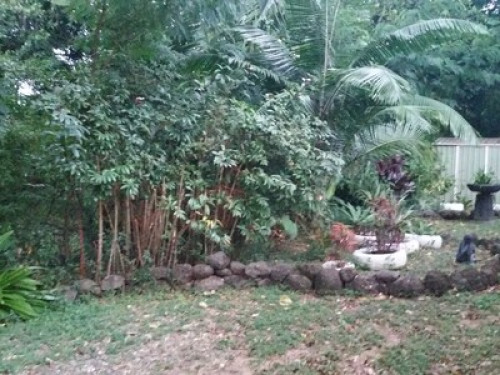 Butterfly Haven - Gallery - 6