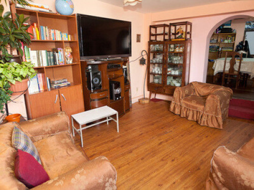Family Homestay & Spanish Lessons