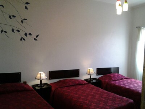 I hope to foster family  - Gallery -  5