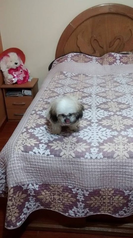 Master Bedroom(Single Bed) - 1