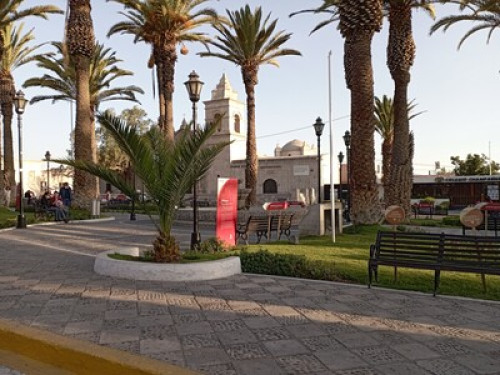 Best Choice in Arequipa - Perú