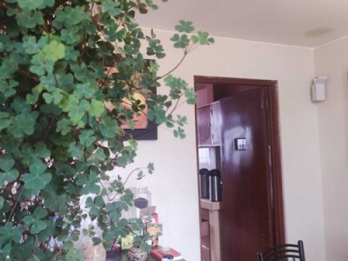 BrIZio Home Cusco Peru - Gallery - 41