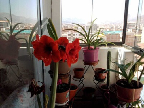 Comunicare  - Gallery -  5
