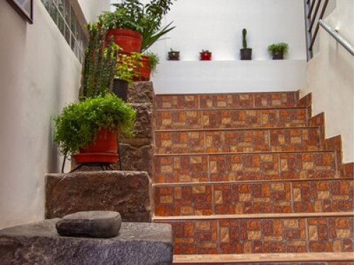 Laura's House - Gallery - 21