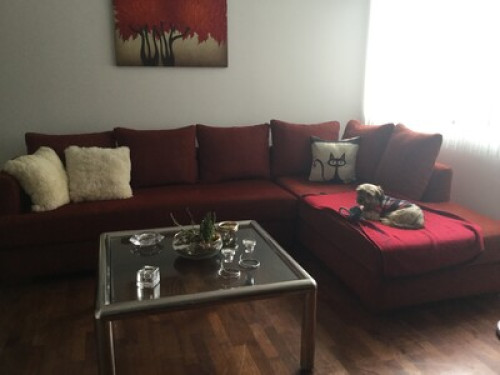 quiet and cozy stay - Gallery - 6