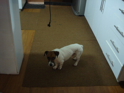 WELCOME TO MY HOME! - Gallery - 7