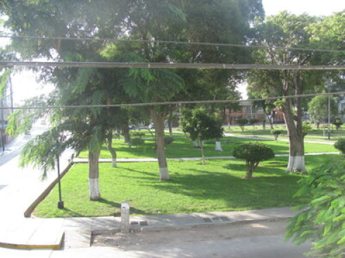 Home stay - Gallery - 10