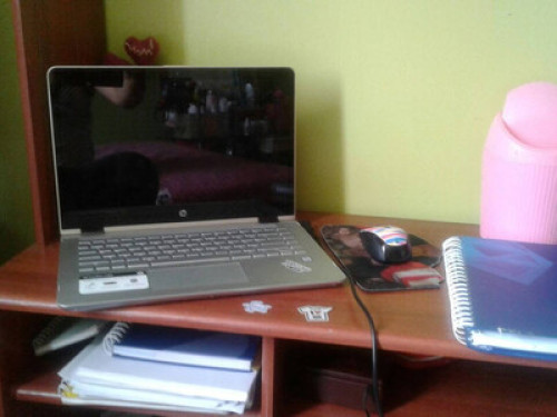 AMOROSA FAMILIA peruana