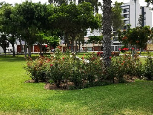 Nice Cozy Room. My house is your house