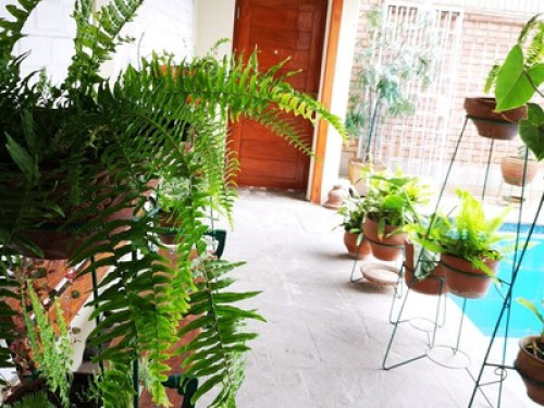 Nice Cozy Room. My house is your house