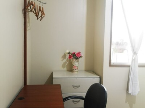 Nice Cozy Room. My house is your house  - Gallery -  5