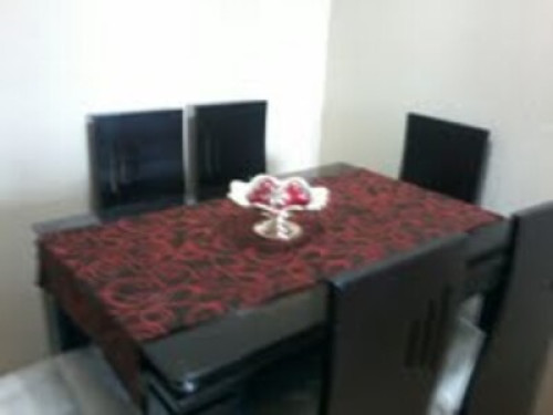 Beach lovers and pets