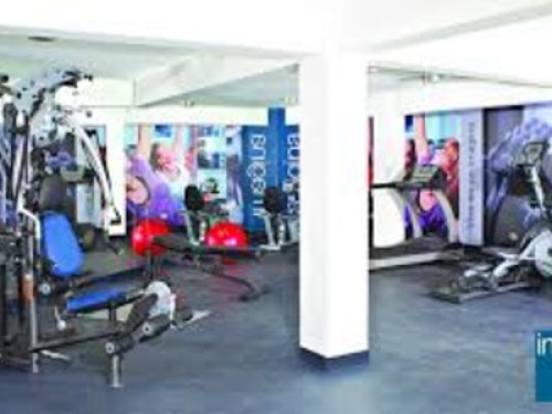 Beach lovers and pets