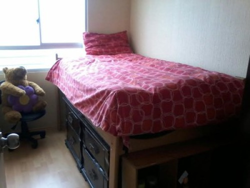 Beach lovers and pets