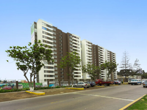 Beach lovers and pets