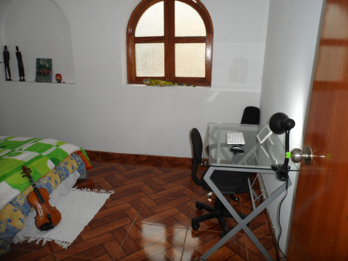 Amantes de la cultura y turismo - Gallery - 2