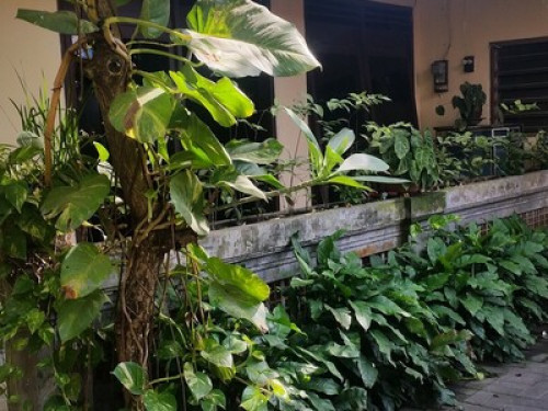 Agung's Annex - Gallery - 22
