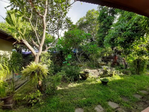 Agung's Annex - Gallery - 17