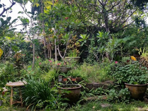 Agung's Annex - Gallery - 19