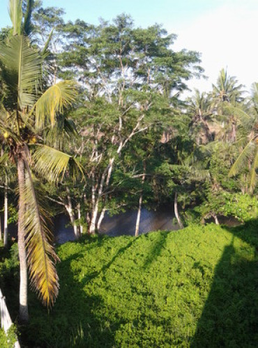Villa with river and ricefield view - Gallery - 5