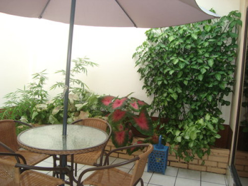 Accommodation in Guayaquil-Ecuador - Gallery - 14