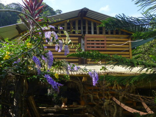 Private Cabins, Gardens, Farm - Gallery - 27