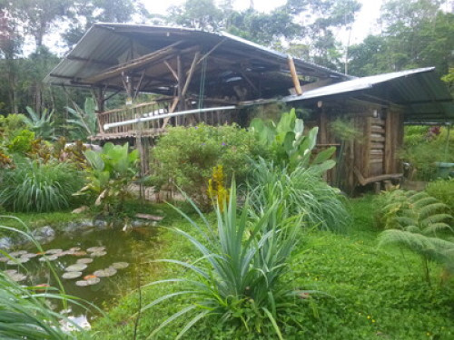 Private Cabins, Gardens, Farm - Gallery - 15
