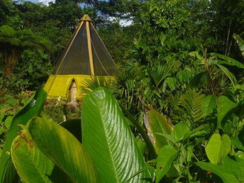 Private Cabins, Gardens, Farm - Gallery - 25