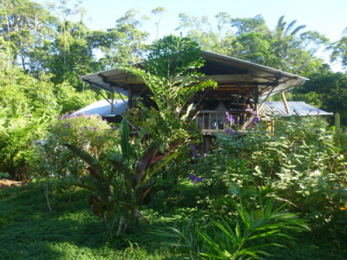 Private Cabins, Gardens, Farm - Gallery - 9