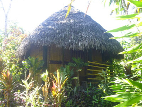 Private Cabins, Gardens, Farm - Gallery - 21