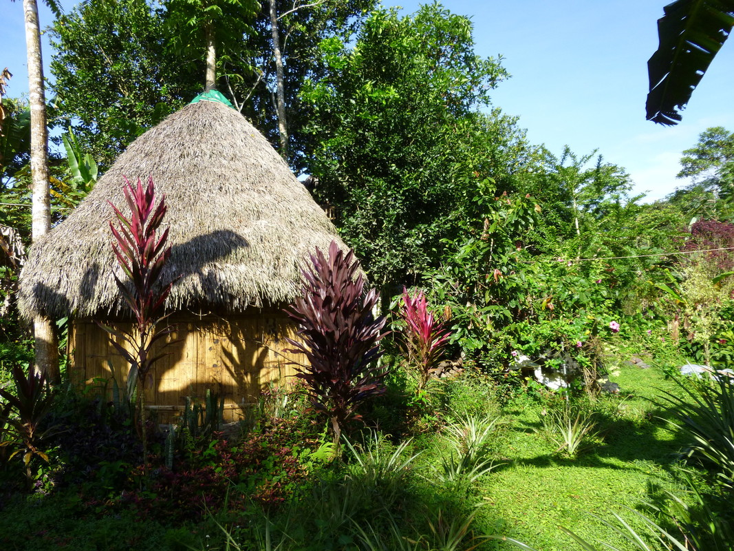  2 Simple Small Huts(Full Room)  -  Private Cabins, Gardens, Farm  - Gallery -  1
