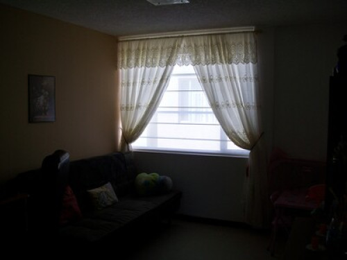 Ecology enthusiasts  - Gallery -  5