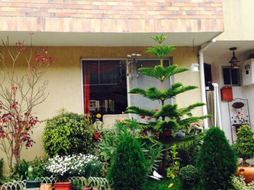 Ecuador passionate theater  - Gallery -  5