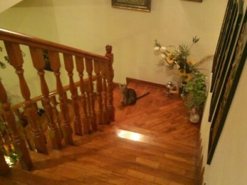 "This place is like my own home. "