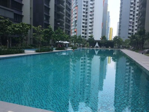 Punggol Middle School Homestay