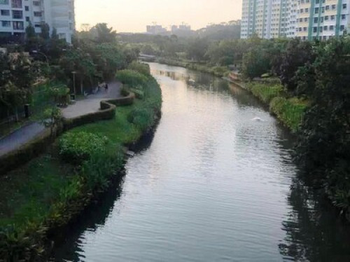 Punggol Middle School Homestay