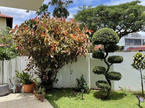 Very sweet home with a large garden - Gallery - 3