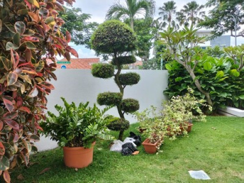 Very sweet home with a large garden - Gallery - 33