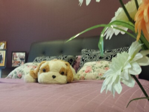 An Enchanting Experience Awaits YOU