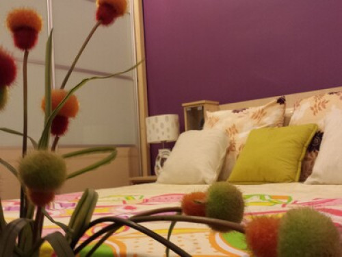 An Enchanting Experience Awaits YOU