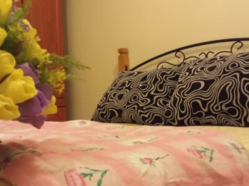 An Enchanting Experience Awaits YOU