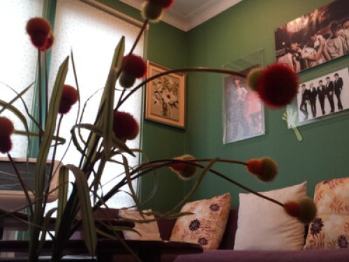 An Enchanting Experience Awaits YOU - Gallery - 6
