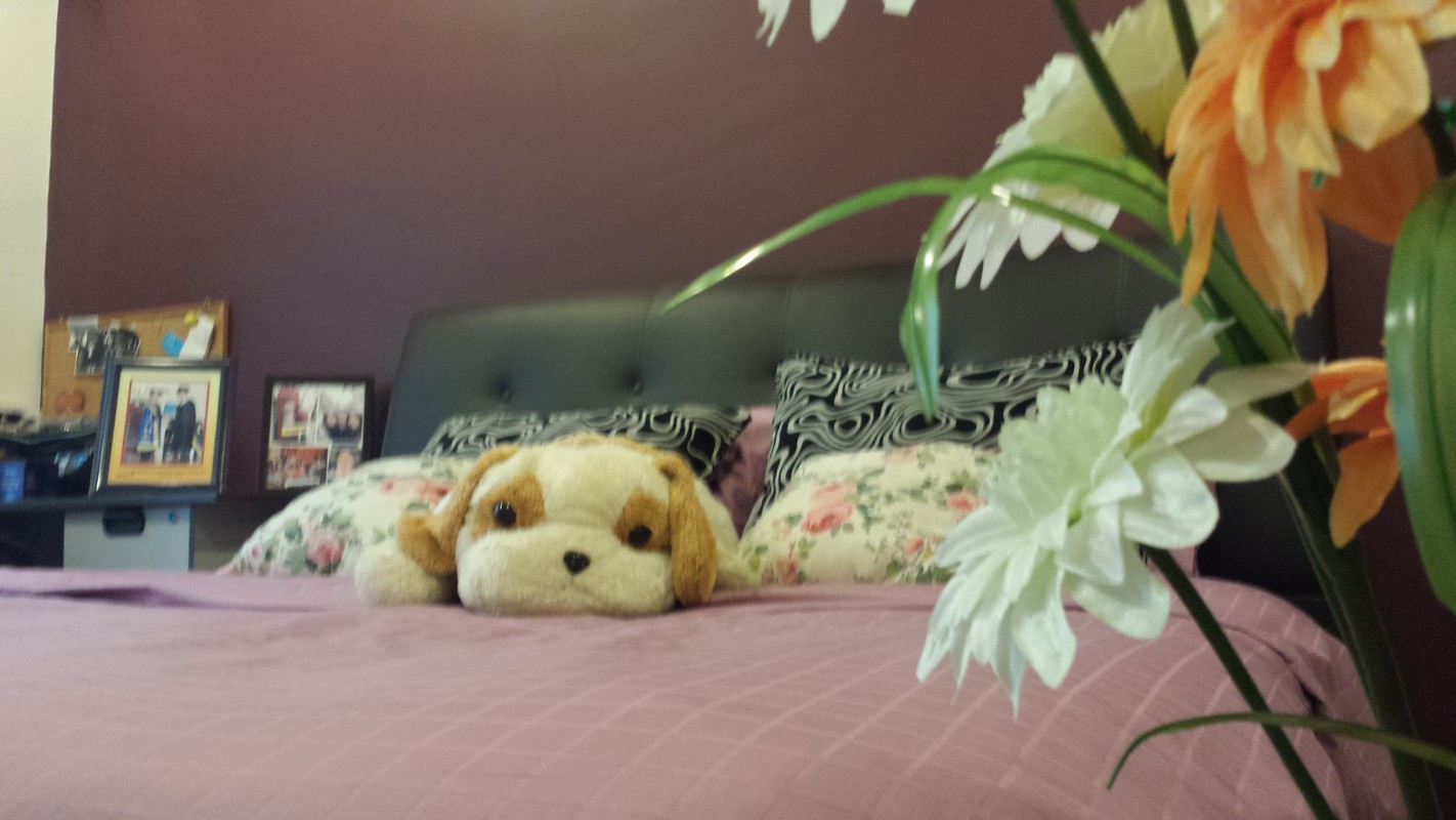 Bedroom 1(Single Bed) - 1