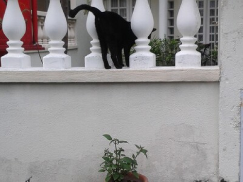 Friendly and cosy - Gallery - 5