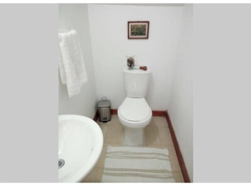 Amazing location, close to colleges