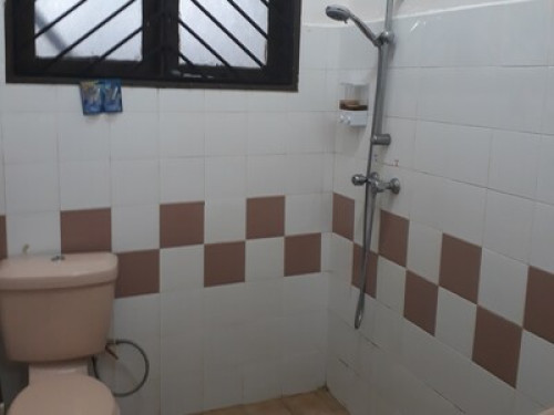 1 bedroom with 950sf private space - Gallery - 10