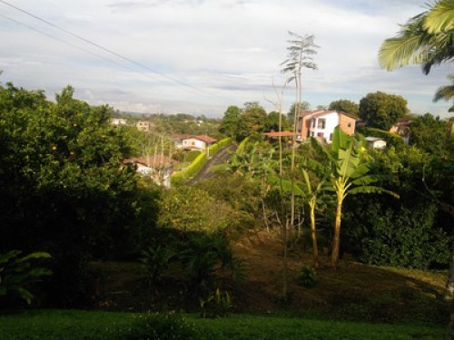 Live with nature - Gallery - 11