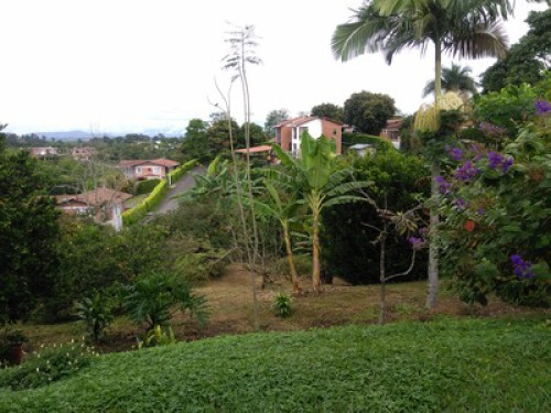Live with nature - Gallery - 10