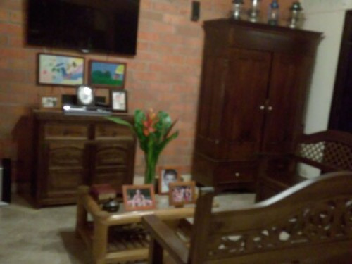 Live with nature - Gallery - 18