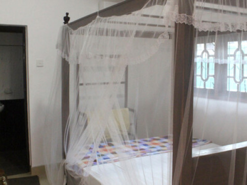 Whale Watching Homestay Sri Lanka